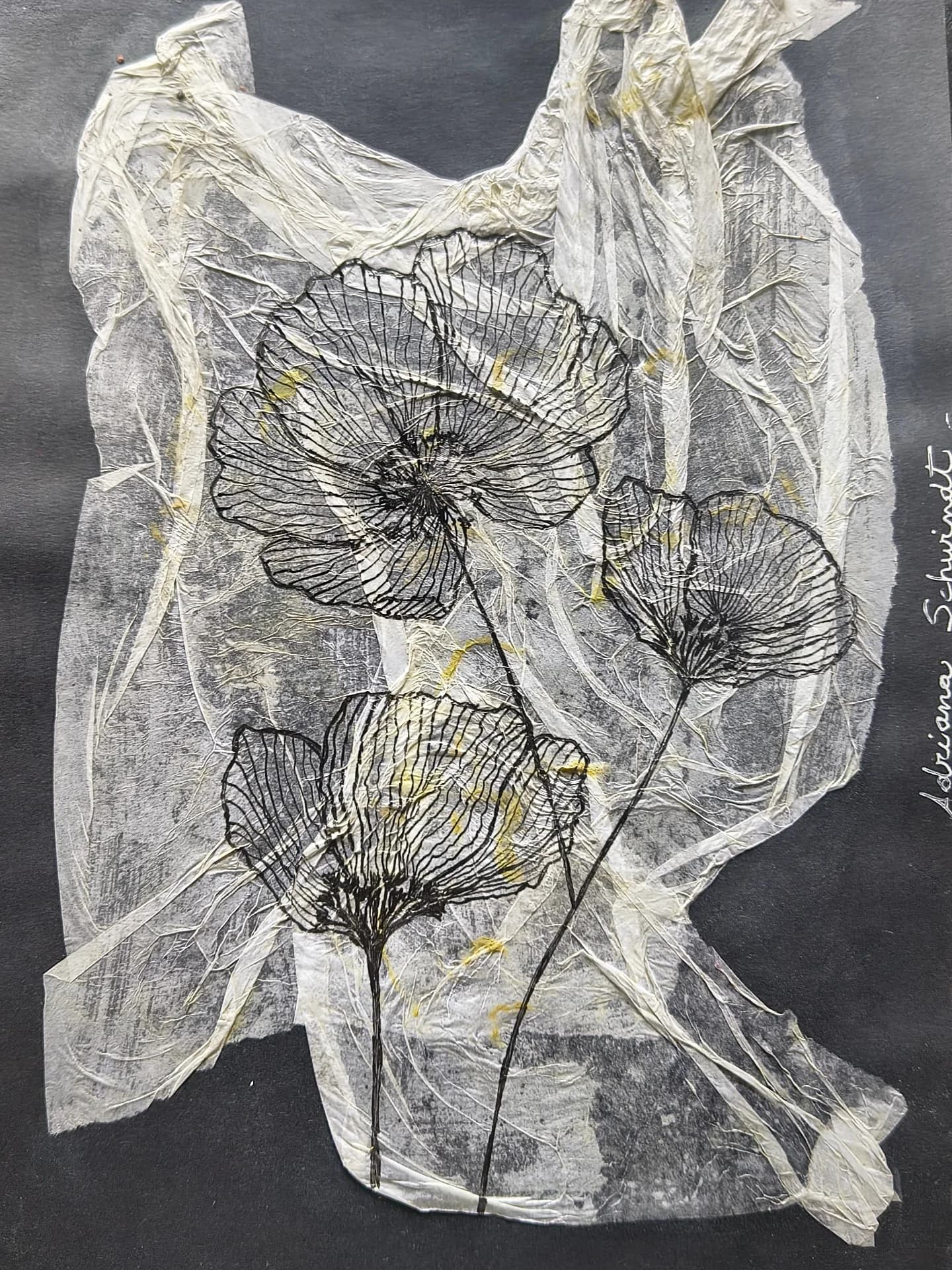 Fragilidad de Adriana Schwindt