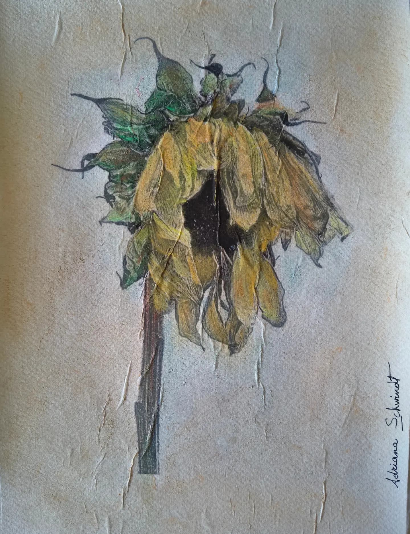 Obra de un girasol en pasteles y texturas de Adriana Schwindt